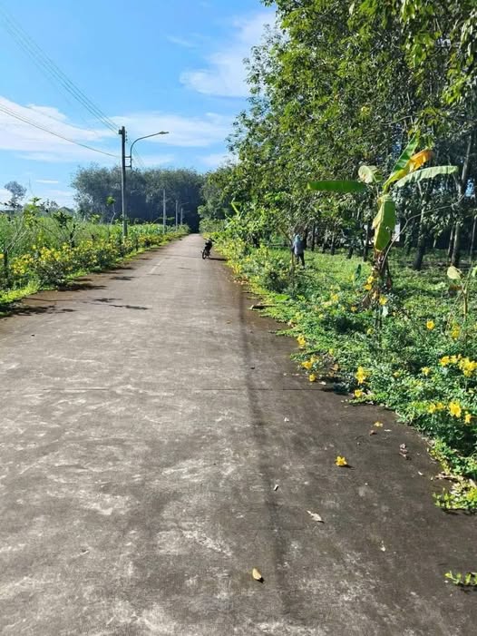 Đất nền Tân Hiệp, Phú Giáo 420m² giá 870 triệu - Đầu tư sinh lời ngay!