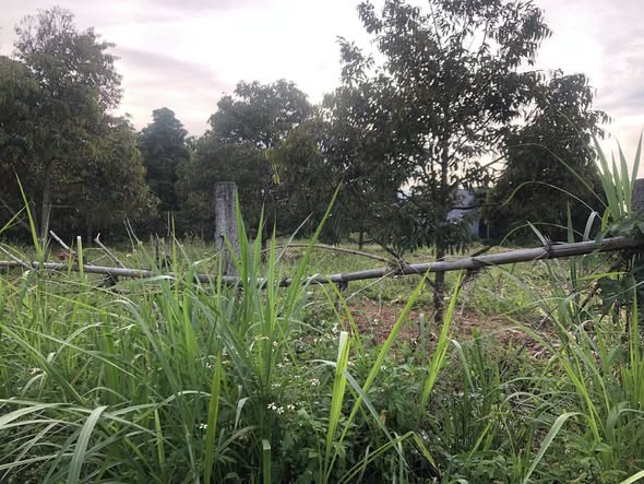 Đất 2 mặt tiền Ea Kpam 412.5m² giá 1.05 tỷ - Cơ hội đầu tư hấp dẫn!