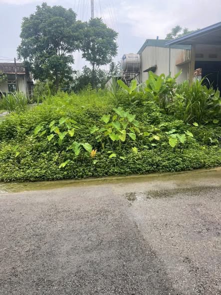 Đất thổ cư Quyết Thắng Thái Nguyên 100m² giá 2 tỷ - Cơ hội đầu tư hiếm có!