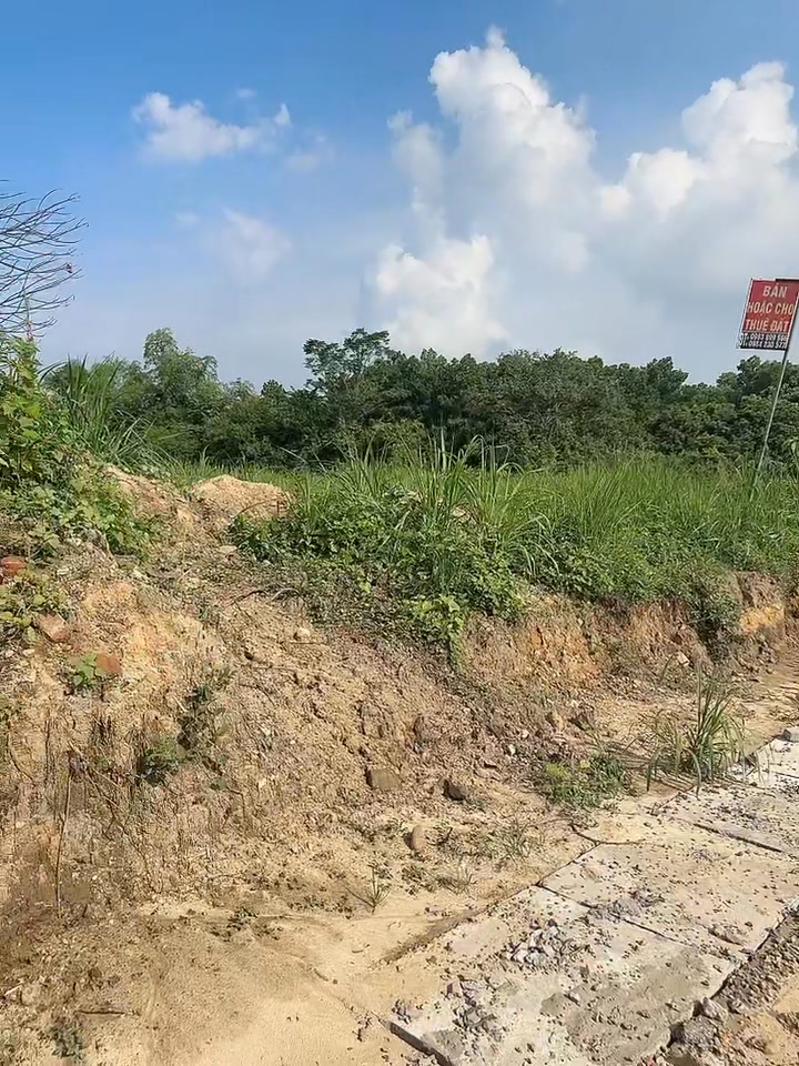 Đất thổ cư mặt đường Trục Chính Thịnh Đức 3000m² - Tiềm năng kinh doanh vượt trội!