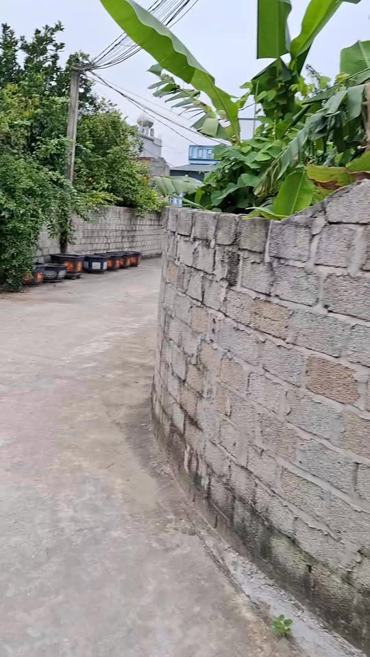 Lô đất 100m² Quảng Châu, Sầm Sơn giá 800 triệu - Đường ô tô vào tận nơi!