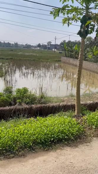 Đất nền đầu tư Nông Cống 100m² giá thỏa thuận - Tiềm năng phát triển mạnh mẽ!