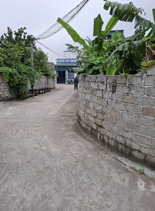 Lô đất Quảng Châu Sầm Sơn 100m² giá 800 triệu - Cơ hội đầu tư hấp dẫn!