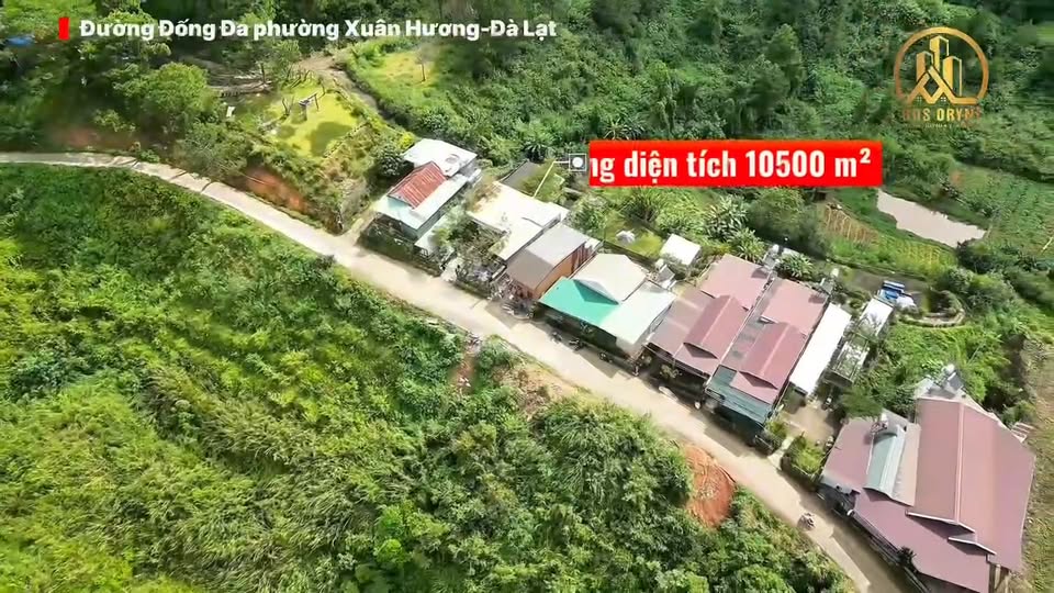 Đất nền Đồi View Thành Phố Đà Lạt 10.500m² giá 170 tỷ - Tiềm năng phát triển mạnh!
