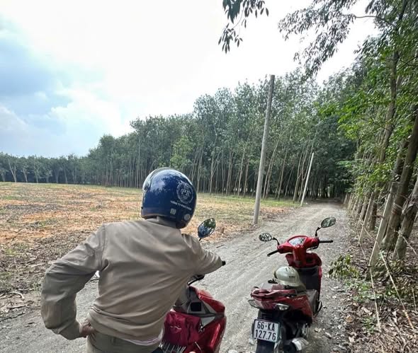 Đất thổ cư Chánh Phú Hòa 500m² giá 1 tỷ - Cơ hội đầu tư tuyệt vời!