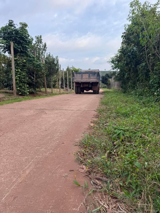 Đất thổ cư 240m² tại Ea Tóh, Krông Năng - Giá chỉ 1.8 tỷ - Đầu tư sinh lời ngay!