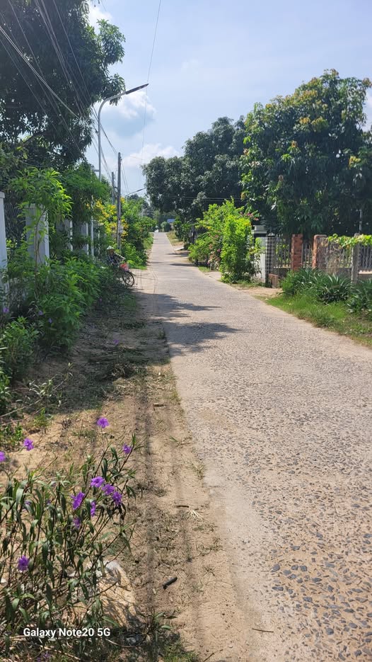 Đất thổ cư Cam Hiệp Nam 800m² giá 4 tỷ - Sổ đỏ chính chủ, xây dựng ngay!