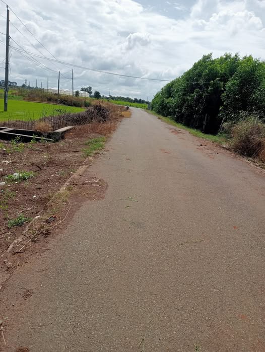 Đất nền Long Tân 360m² giá 1.5 tỷ - Nở hậu, gần chợ, trường mầm non