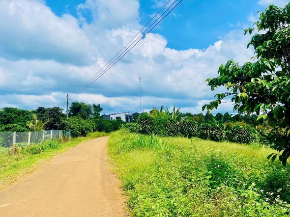 Đất nền mặt tiền Tiếng Dương, Lộc Đức, Bảo Lâm 1523m² giá 2.3 tỷ - Cơ hội đầu tư tốt!