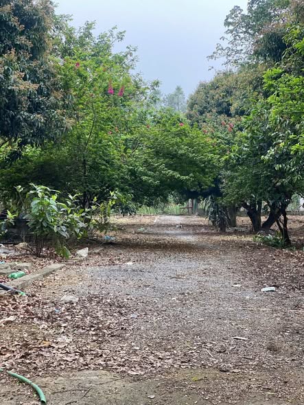 Đất nền Liên Sơn Lương Sơn 3700m² giá thỏa thuận - Gần sân golf SKYLAKE!