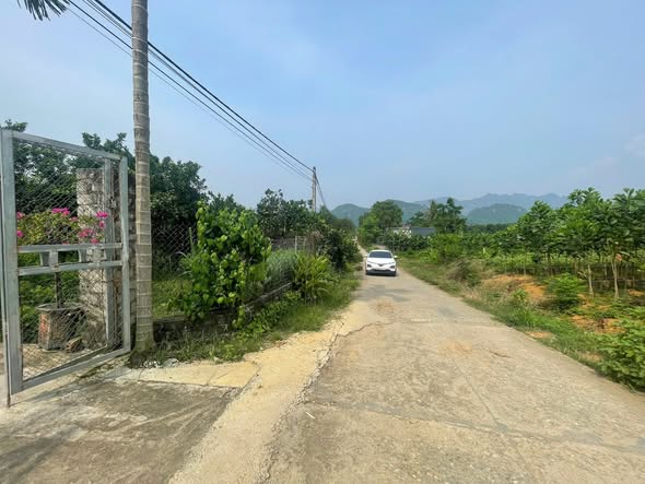 Đất dự án Phú Thành, Lạc Thủy 629m² giá chỉ 629 triệu - Cơ hội đầu tư sinh lời