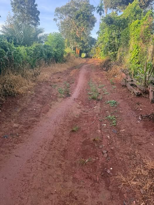 Đất nền mặt đường Lý Tự Trọng, Thiện An, 245m² giá 1.55 tỷ - Cơ hội đầu tư tuyệt vời!