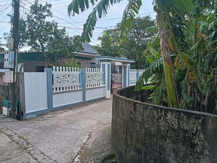 Đất nền Quảng Cát, TP Thanh Hóa 106.5m² chỉ 700 triệu - Cơ hội đầu tư hấp dẫn!