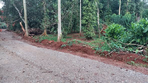 Đất nền Suối Nghệ, Châu Đức 1000m² giá 870 triệu - Cơ hội tuyệt vời cho người làm vườn!