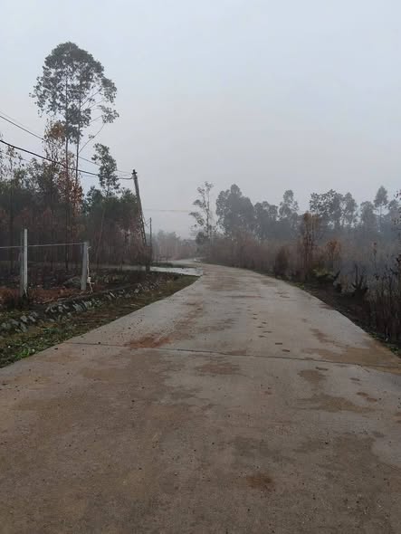 Lô đất Farm Trung Mỹ, Bình Xuyên 1527m² giá 1.527 tỷ - Đầu tư sinh lời tuyệt vời!