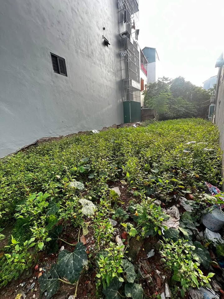 Đất Tây Mỗ Nam Từ Liêm 103m² giá 11.5 tỷ - Vị trí đẹp, giao thông thuận lợi!