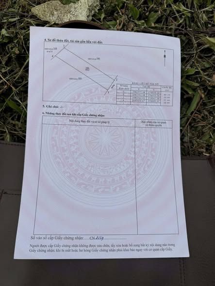 Đất nền chính chủ tại xóm 6, xã Đại Sơn, 500m² giá chỉ 1.05 tỷ - Cơ hội đầu tư tốt!