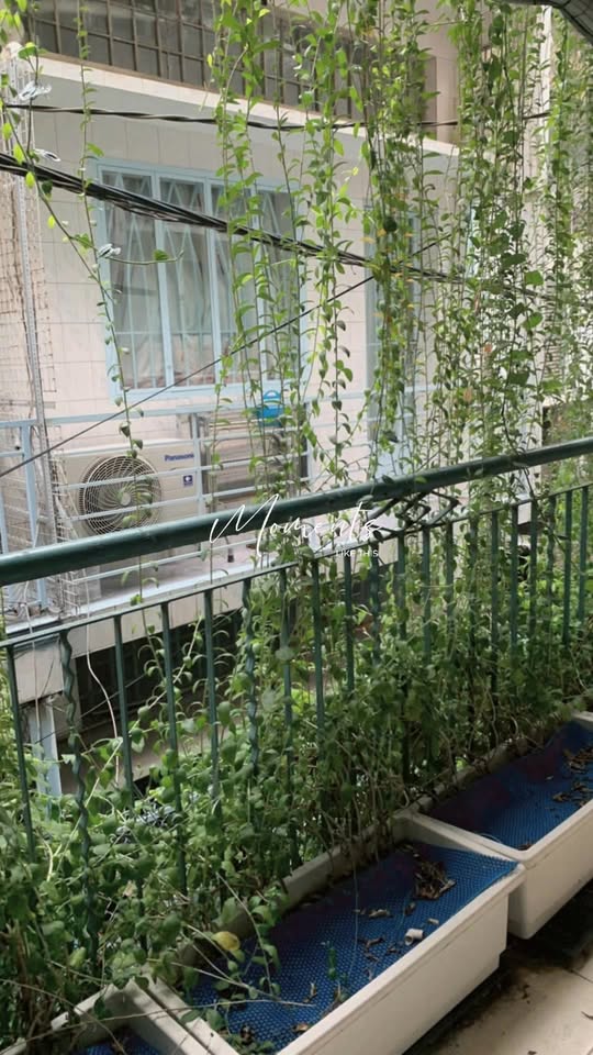 Nhà phố quận 3, Lê Văn Sỹ, 61.5m² giá 12.5 tỷ - Sổ hồng riêng, chính chủ!