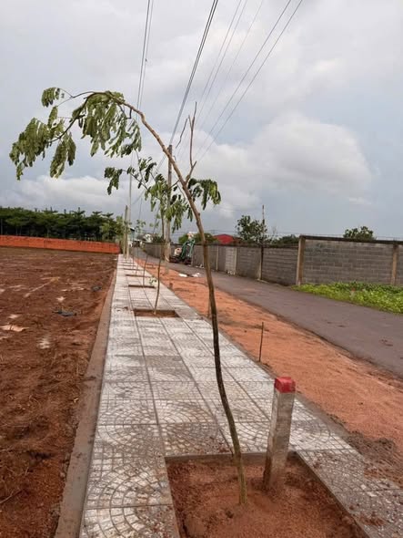 Đất nền Nghĩa Thành - Châu Đức 160m² chỉ 760 triệu - Vị trí tuyệt đẹp, thuận lợi kinh doanh!