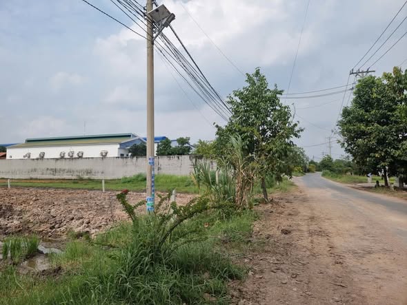 Đất nền mặt tiền Tỉnh Lộ 825, Đức Hòa, 1375m² giá 13.5 tỷ - Đầu tư sinh lời ngay!