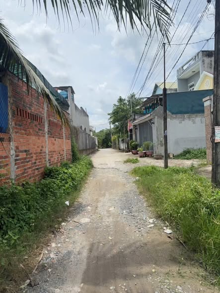 Nhà cấp 4 95m² tại Bình Hữu, Đức Hoà Thượng - Giá chỉ 1.15 tỷ VND