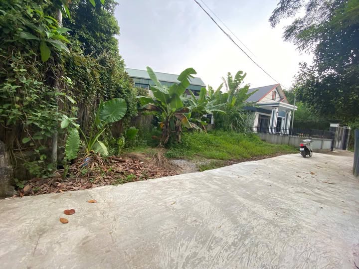 Đất thổ cư 85m² tại phường Quan Triều, Thái Nguyên chỉ 600 triệu - Cơ hội đầu tư sinh lời!