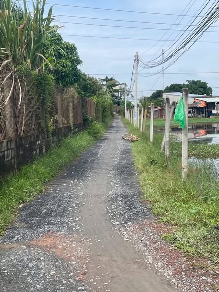 Đất thổ cư Hòa Khánh, 175m² giá 880 triệu - Đầu tư sinh lời ngay!