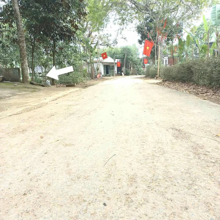 Đất nền khu phố Xuân Long, thị trấn Sao Vàng, 125m² - Cơ hội đầu tư hấp dẫn!