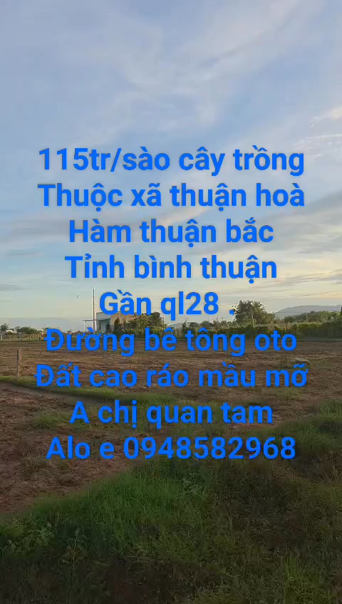 Đất nông nghiệp xã Thuận Hòa, Hàm Thuận Bắc 3600m² giá 414 triệu - Đầu tư sinh lời ngay!