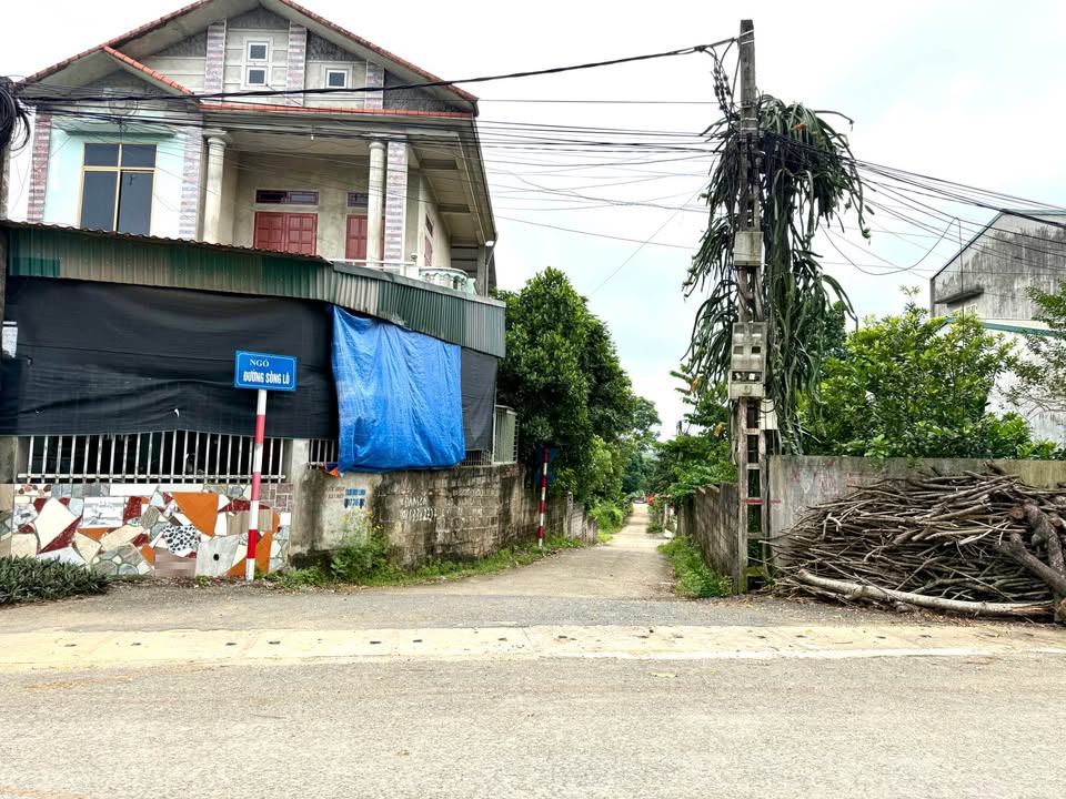 Lô đất xây nhà vườn An Tường 437m² - Đường ô tô vào tận nơi!