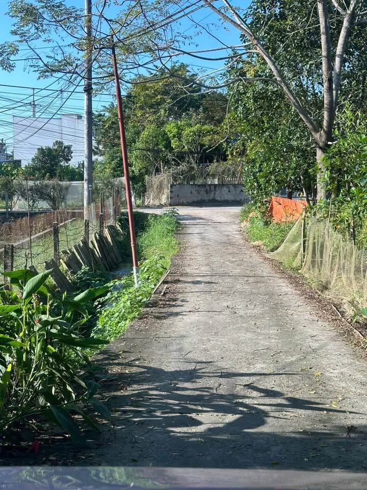 Đất nền Tuyên Quang 121.5m² giá 2 tỷ - Đường thông thuận lợi!