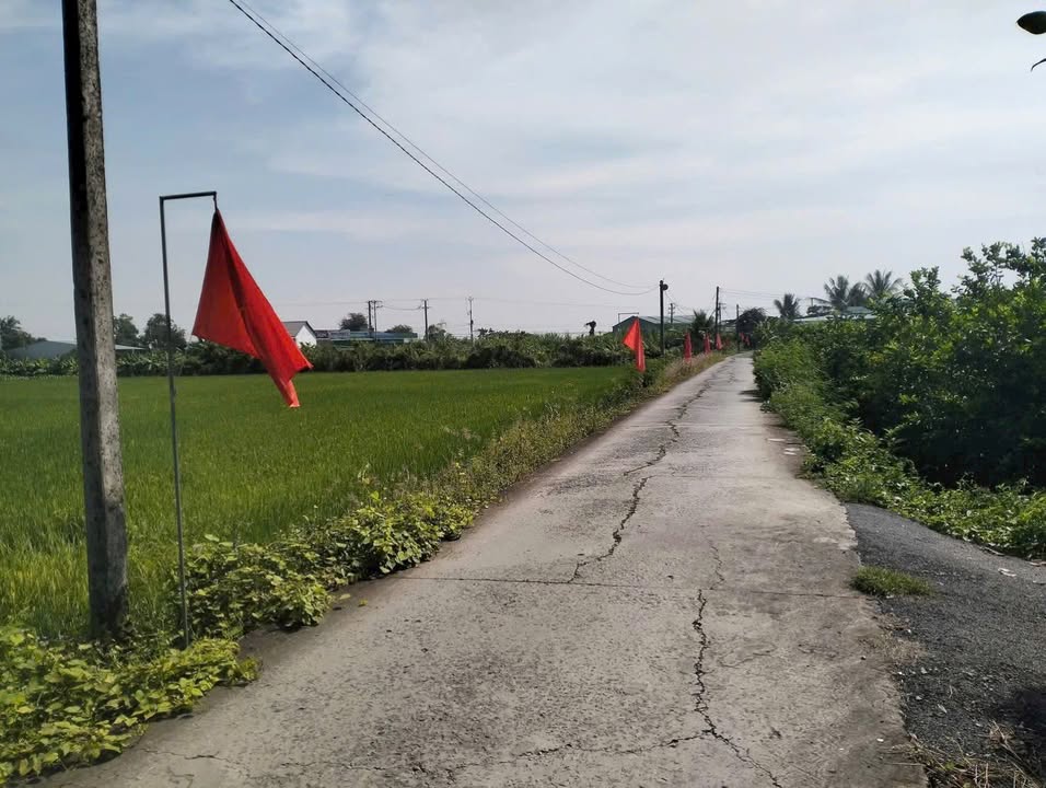 Đất thổ cư 510m² tại Mỹ Thạnh, Thủ Thừa - Giá chỉ 1 tỷ VND!