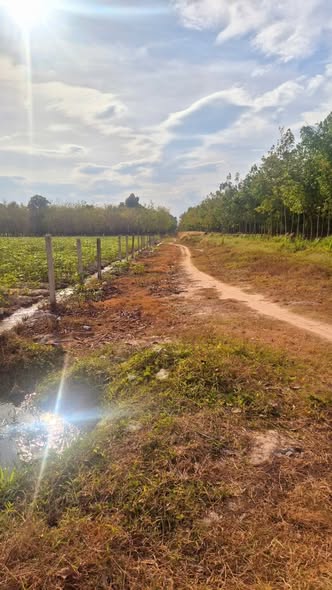 Đất nền Hảo Đước, Châu Thành 2000m² - Giá chỉ 190 triệu!