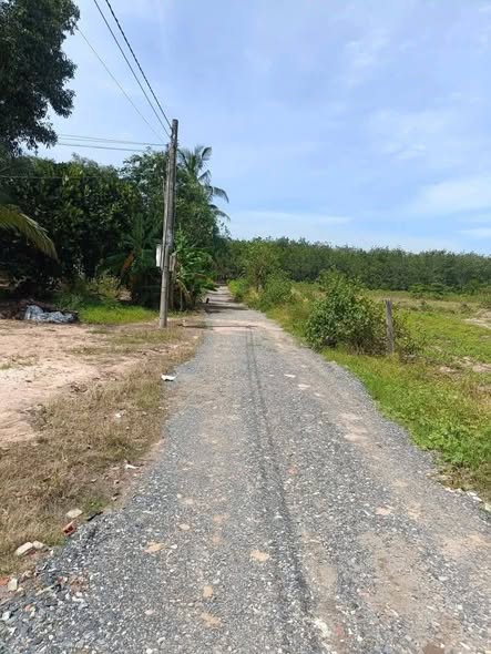 Đất công lập vườn An Cơ 2000m² giá 239 triệu - Hàng hiếm sổ hồng chính chủ!