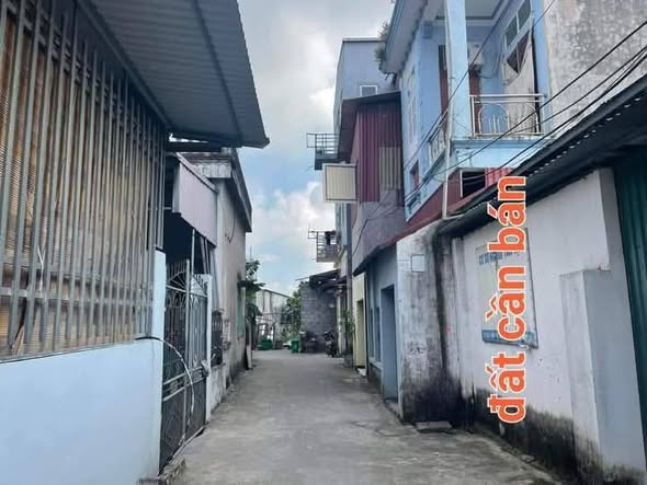 Đất Lê Xá, Cẩm Phúc 74m² giá thỏa thuận - Tặng nhà cấp 4 cho thuê 1.2 triệu/tháng!