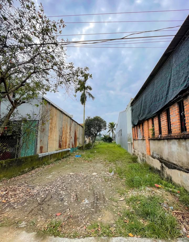 Đất mặt tiền Dương Thiệu Tước 218m² giá 3.5 tỷ - Đầu tư sinh lời tuyệt vời!