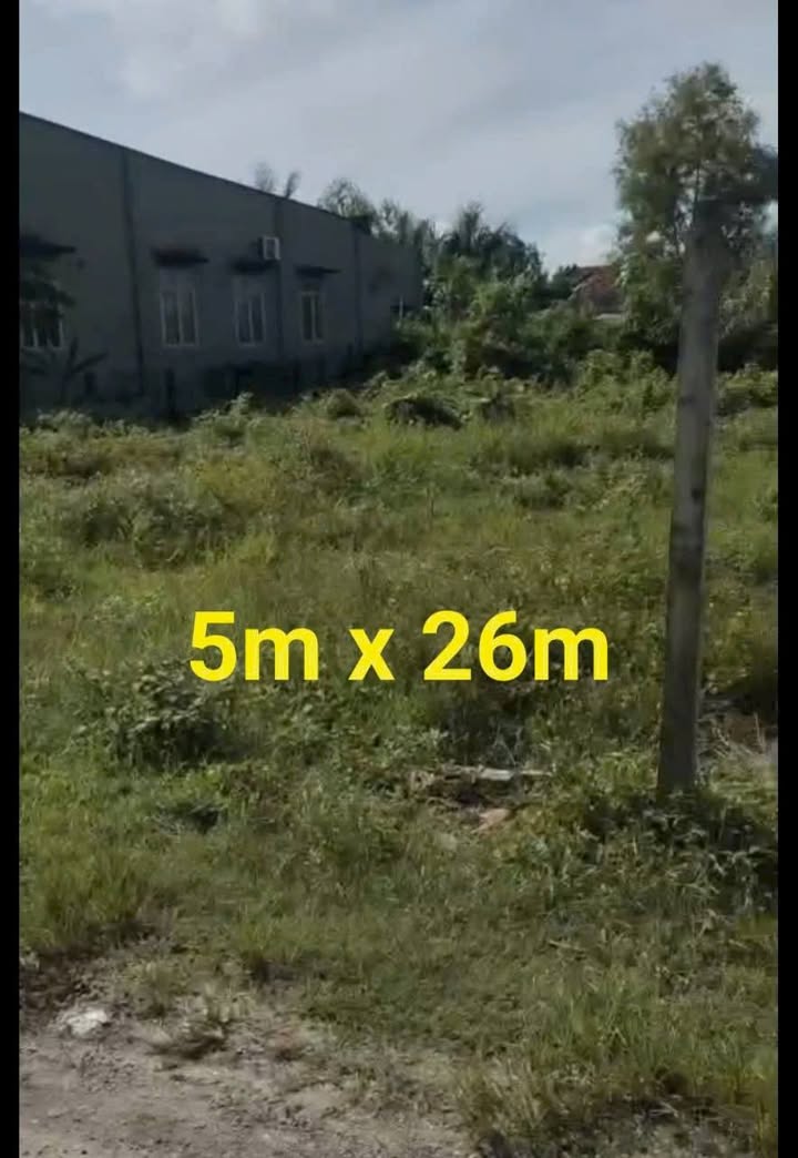 Đất thổ cư 130m² tại Ấp Chánh, Đức Lập Hạ chỉ 1.2 tỷ - Cơ hội đầu tư tuyệt vời!