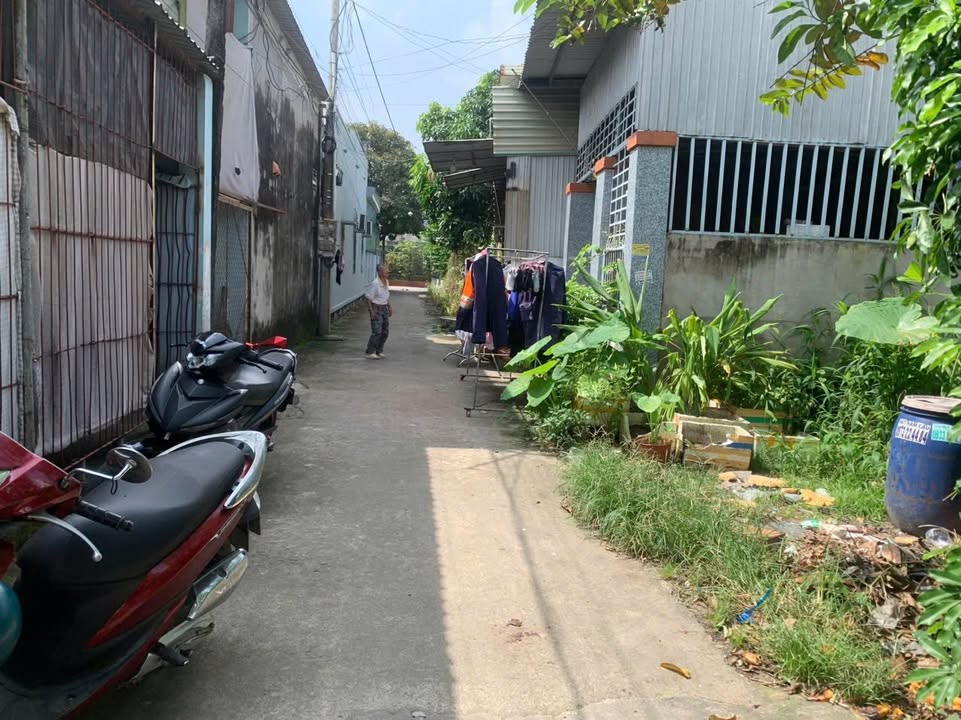 Nhà cấp 4 Phường Mỹ Xuân, Bà Rịa - Vũng Tàu 105m² giá 2 tỷ - Vị trí đông dân cư, tiện nghi đầy đủ!