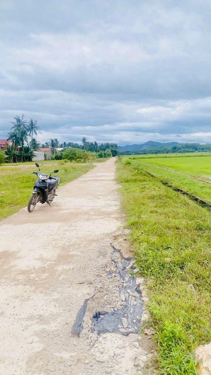 Đất lúa 540m² xã Phú Hòa giá chỉ 188 triệu - Đầu tư sinh lời ngay!