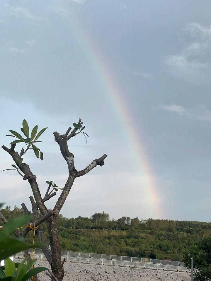 Đất nền Hòa Hiệp Trung, Đông Hòa 172m² giá chỉ 1.4 tỷ - Cơ hội đầu tư hấp dẫn!