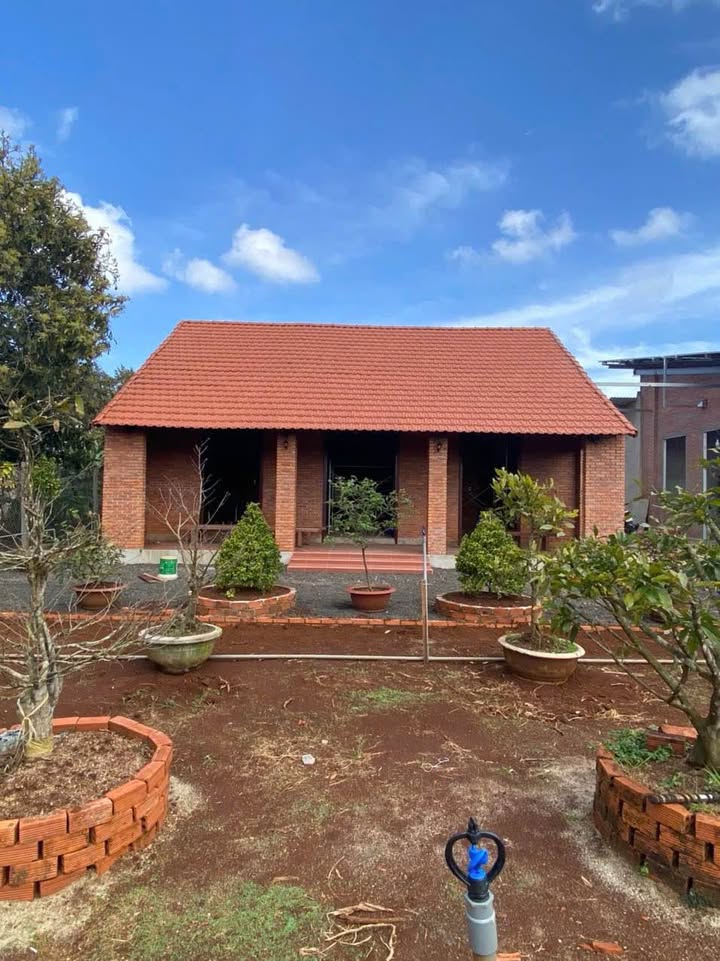 Đất nền Tân An, Buôn Ma Thuột 1395m² giá 5.9 tỷ - Tiềm năng đầu tư cao!