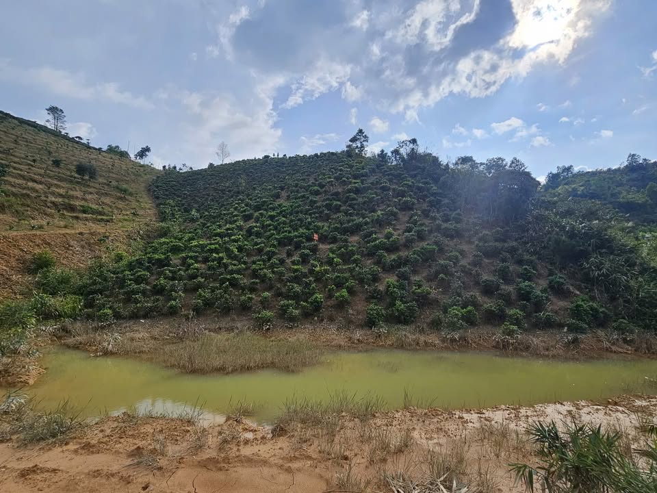 Đất nền Lộc Thành Bảo Lâm 2500m² giá 1.2 tỷ - Sổ đỏ chính chủ, đường nhựa rộng rãi!