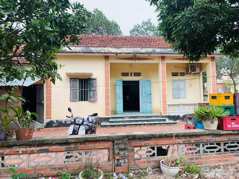 Đất nền Khu 4 Việt Hưng, Hạ Long 500m² – Đầu tư sinh lời ngay!