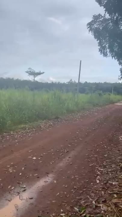 Đất nền Tân Hưng 200m² giá chỉ 100 triệu - Cơ hội đầu tư không thể bỏ lỡ!