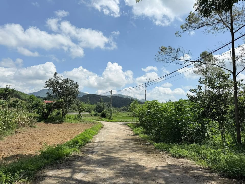 Đất nền Xuân Lương Yên Thế 1600m² giá 1.68 tỷ - Chính chủ bán gấp!