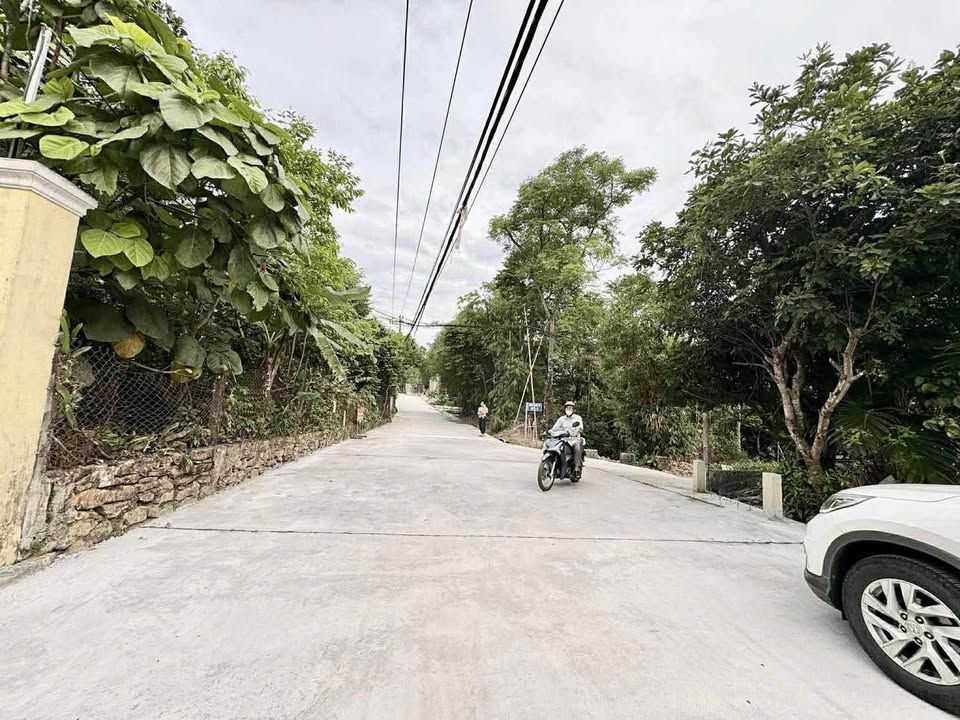 Đất nền chính chủ 220m² Quảng Tế, giá chỉ 2.6 tỷ - Cơ hội đầu tư tuyệt vời!