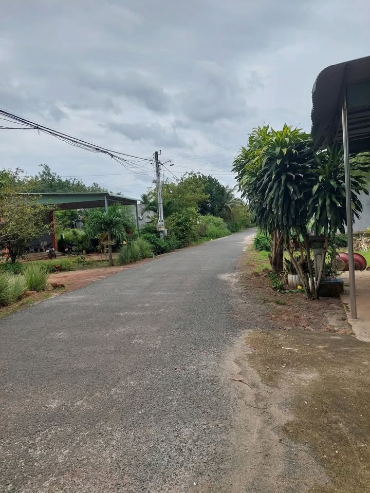 Đất nền mặt tiền ấp Hội Phú, xã Tân Hội, Tây Ninh 1500m² - Giá tốt thương lượng!