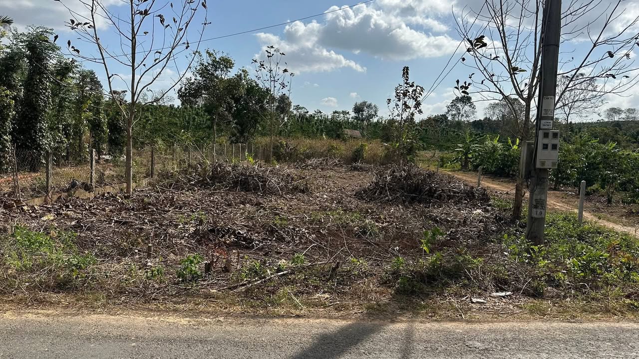 Đất nền 600m² Đường Đinh Tiên Hoàng, Đắk Mâm, Krông Nô - Sổ đỏ chính chủ, giá chỉ 80 triệu/m²!