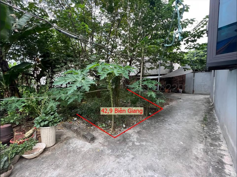 Đất Biên Giang, Hà Đông 42.9m² giá 3 tỷ - Vị trí đẹp, đầu tư sinh lời!