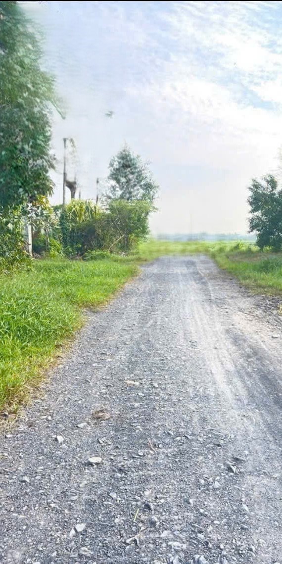 Bán đất thổ cư xã Đức Lập Hạ, Đức Hòa 500m² giá chỉ 2 tỷ - Đường xe ô tô tới nơi!